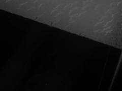 ポリスチレン シート