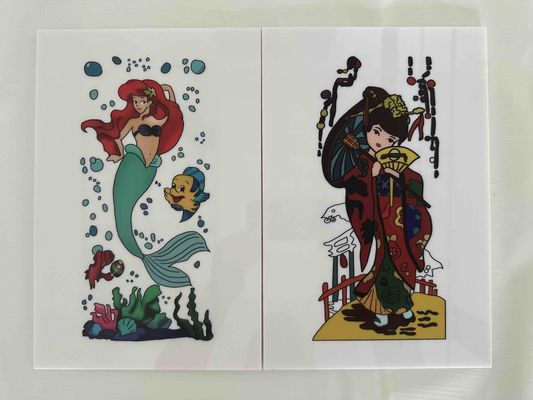 メキシコ向けに調整された白色ポリスチレンシート、装飾用ポリエチレンシート（色付き）を特徴とし、包装と断熱に使用