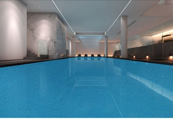 エポキシ色の砂床 石灰岩の床塗装 耐久性のある床塗装 エポキシの自己平準化床塗装